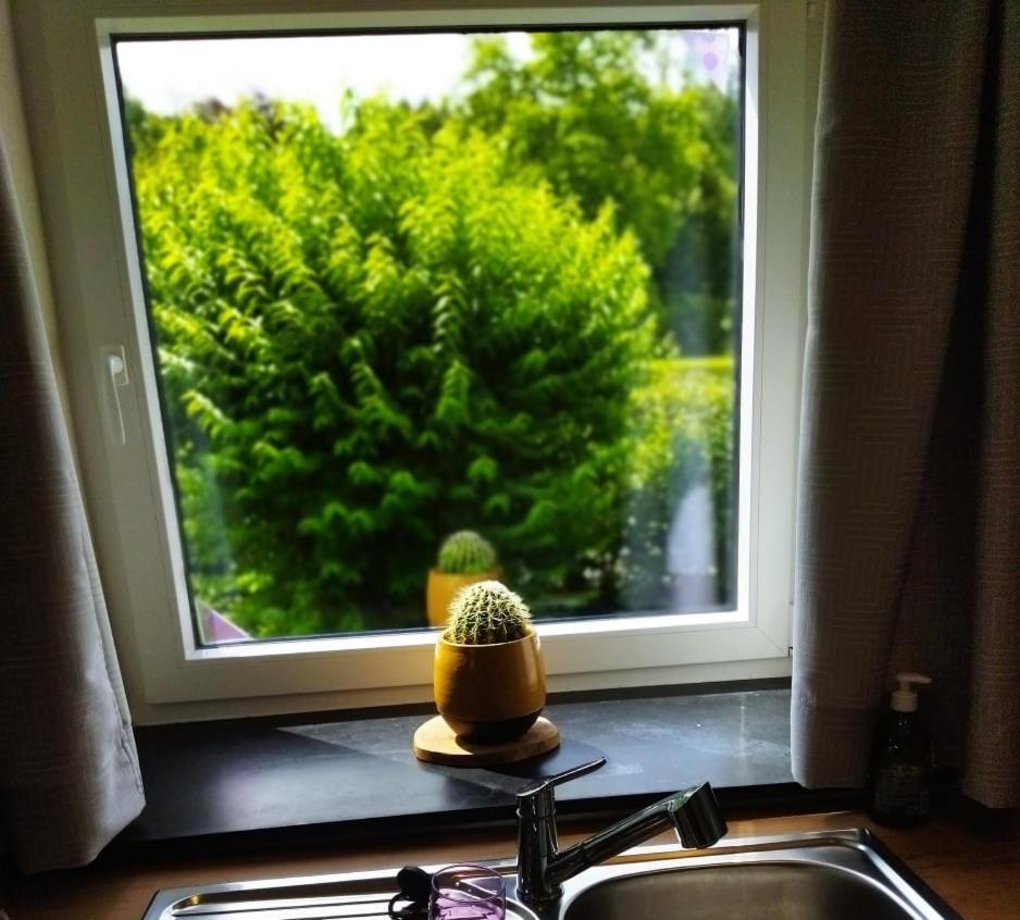 ريندو Le Clos Des 3 - Vacances Avec Vue En Ardennes A 5 Kilometres De La Roche - Maison De 90 M2 Avec Chambres - Avec Magnifique Jardin المظهر الخارجي الصورة
