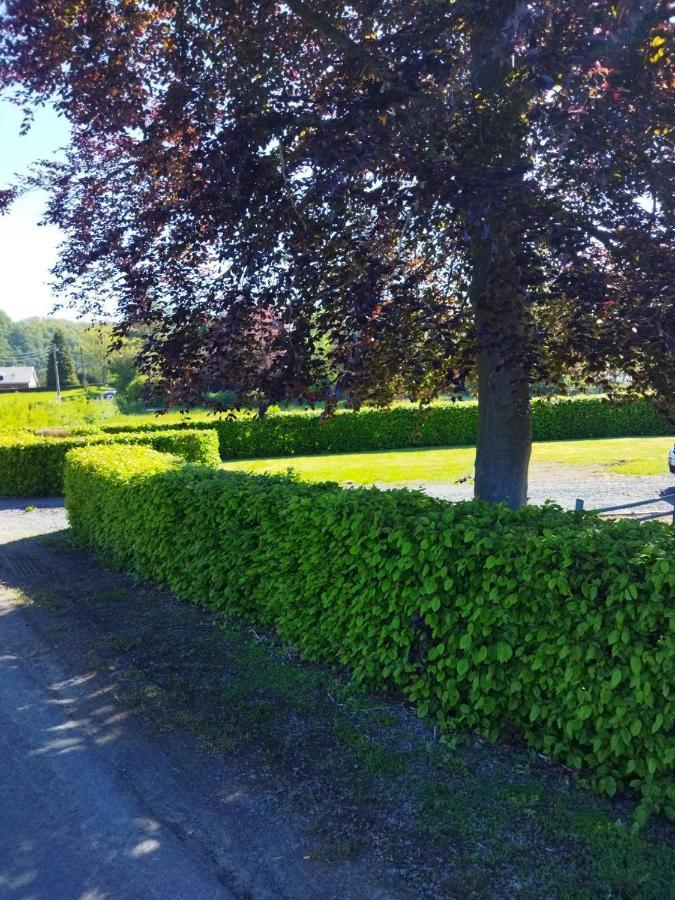 ريندو Le Clos Des 3 - Vacances Avec Vue En Ardennes A 5 Kilometres De La Roche - Maison De 90 M2 Avec Chambres - Avec Magnifique Jardin المظهر الخارجي الصورة